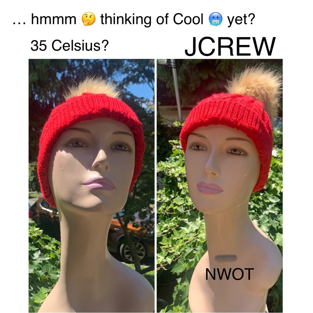 NWOT JCrew CABLE knit POM POM Winter Hat